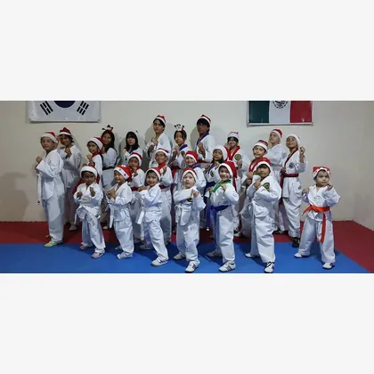 Foto 1 Taekwondo C I K I Leones