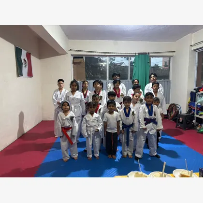 Foto 2 Taekwondo C I K I Leones