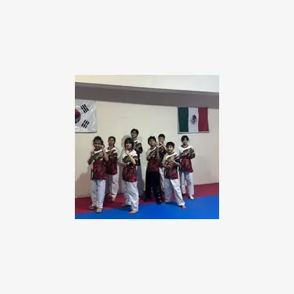 Foto 5 Taekwondo C I K I Leones