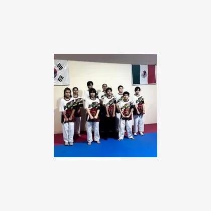 Foto 6 Taekwondo C I K I Leones