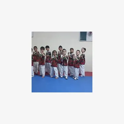 Foto 7 Taekwondo C I K I Leones