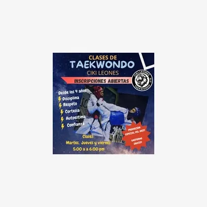 Foto 9 Taekwondo C I K I Leones